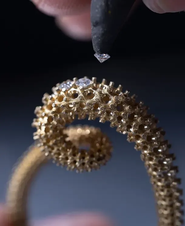 Where Bold Creativity Meets Material Innovation